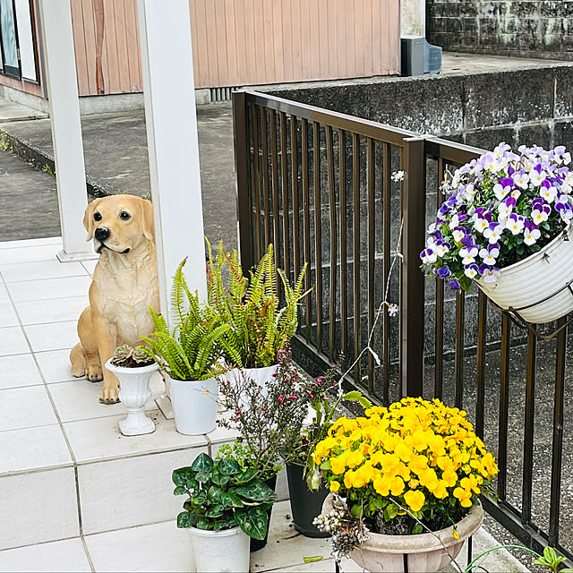 masaさんの実例写真