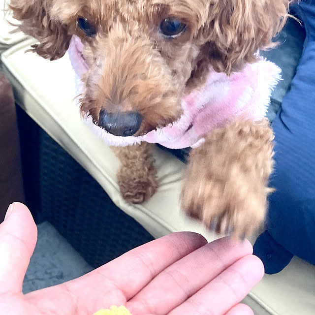MOMOMAMAさんの部屋