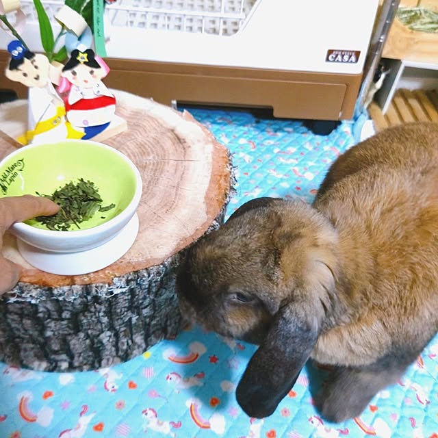 mariaさんの部屋