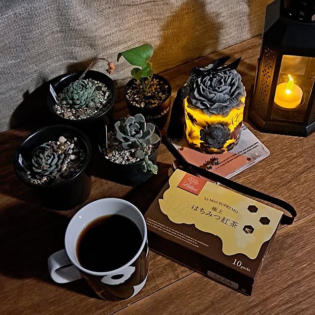 noaさんの部屋