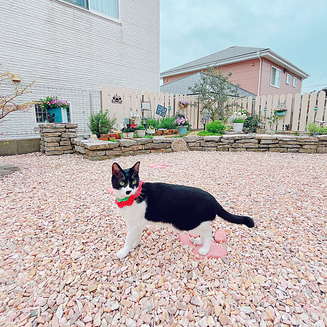 moolさんの実例写真