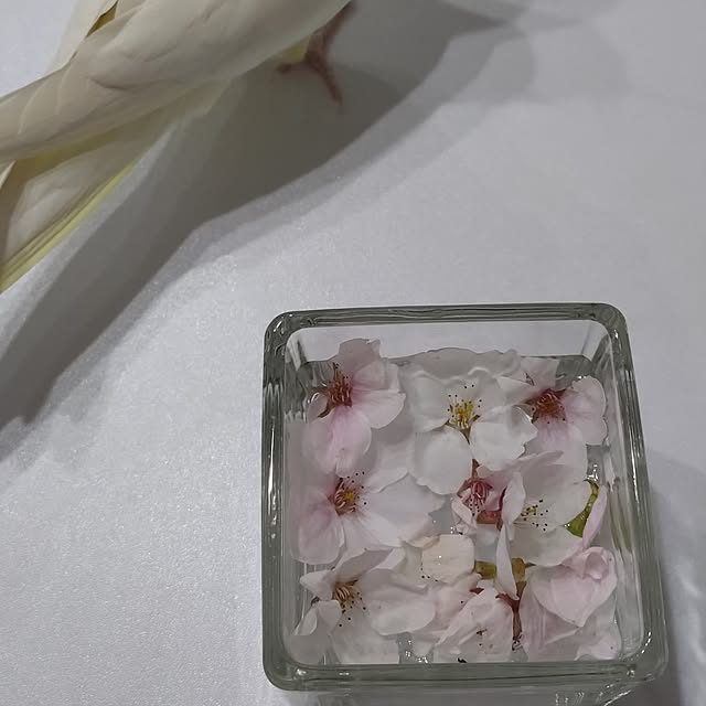 toratanさんの実例写真