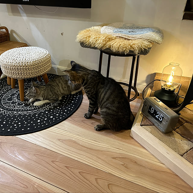 Nekogaoka_houseさんの実例写真