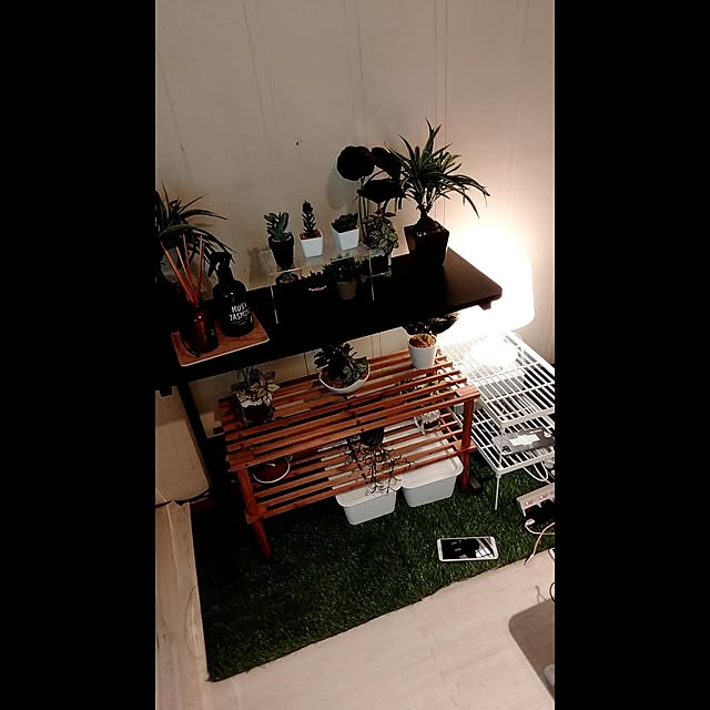 toraさんの実例写真
