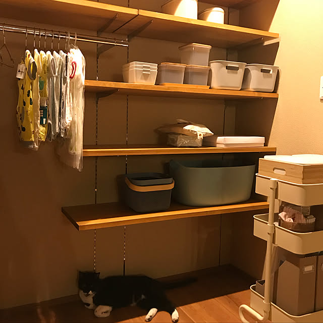 棚のインテリア実例 - 2018-09-17 22:44:48