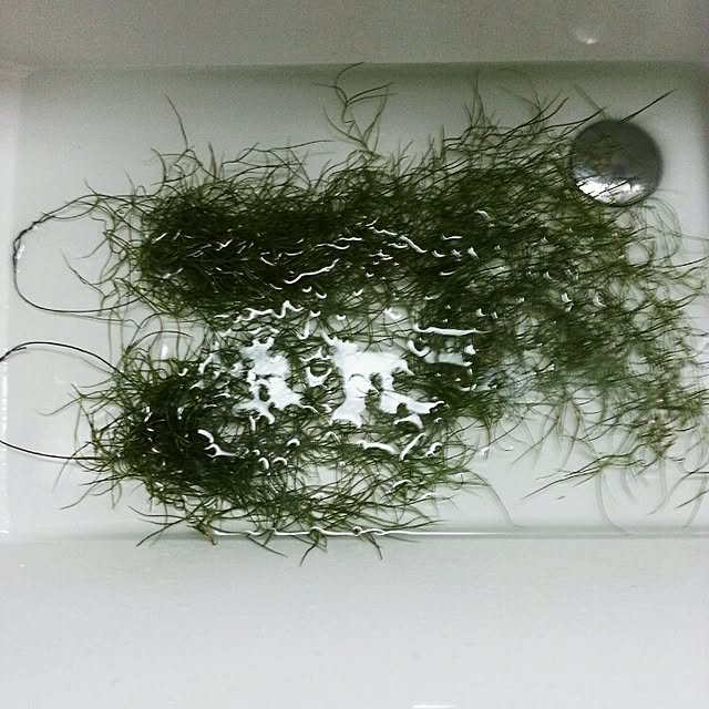 Rinnさんの実例写真