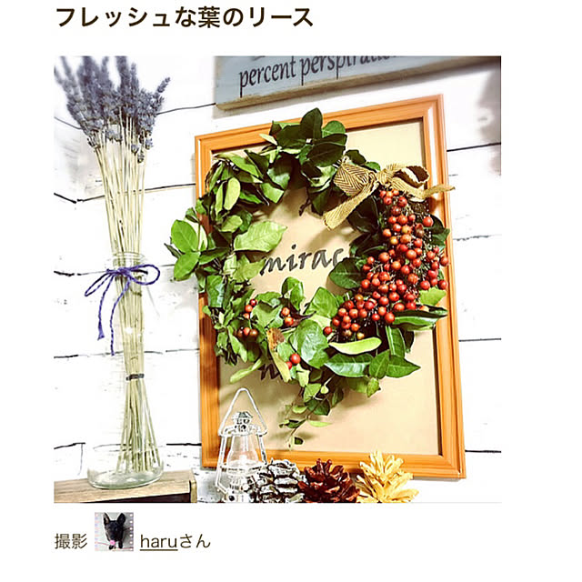 haruさんの実例写真