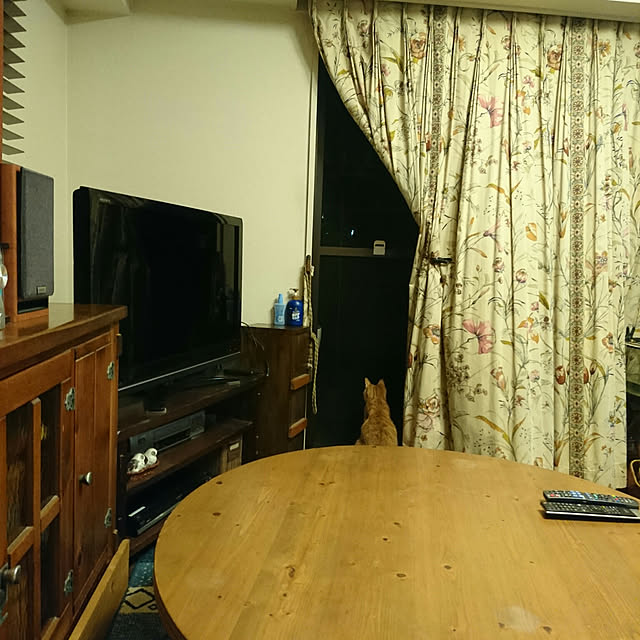 okyosan101さんの実例写真