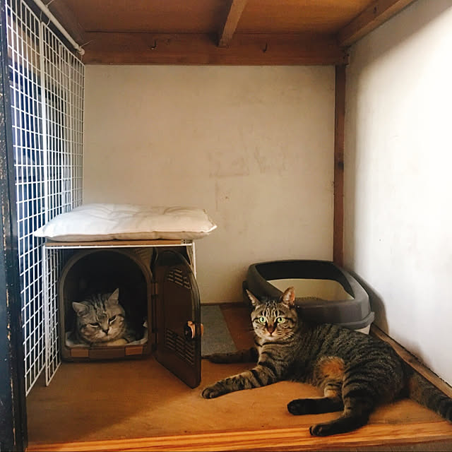 KINGさんの実例写真