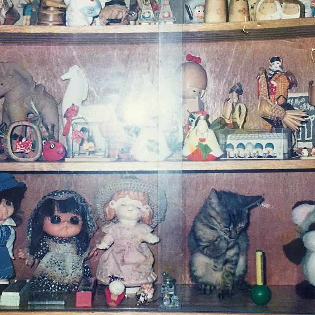 Junran50さんの実例写真