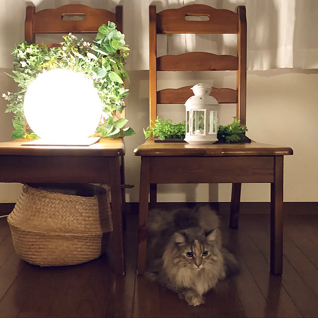 justyさんの実例写真