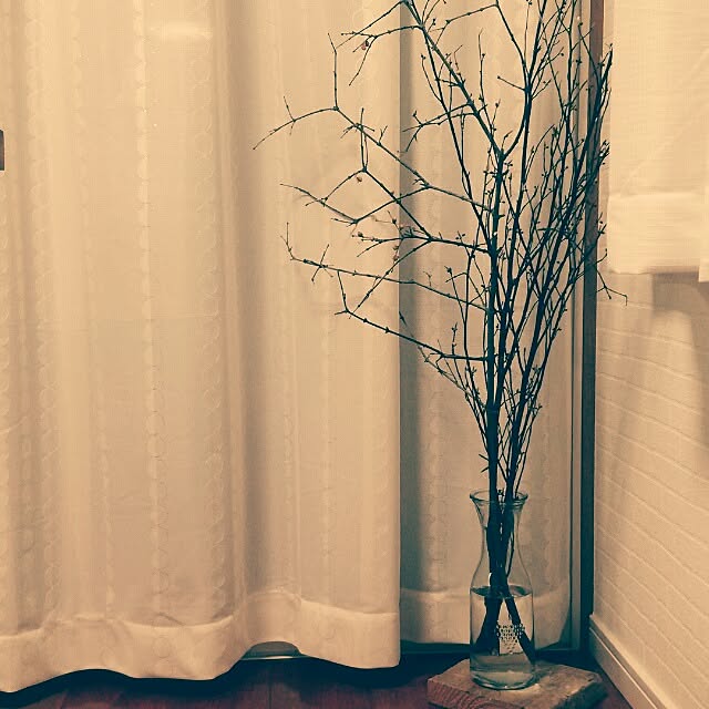kochaさんの実例写真