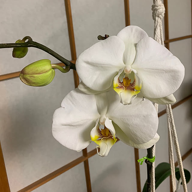 Aqettyさんの部屋
