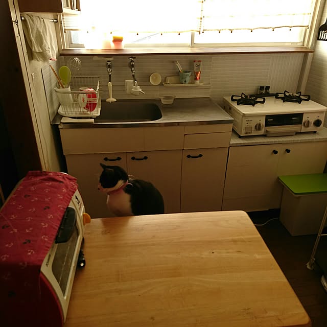 Marinyanさんの実例写真