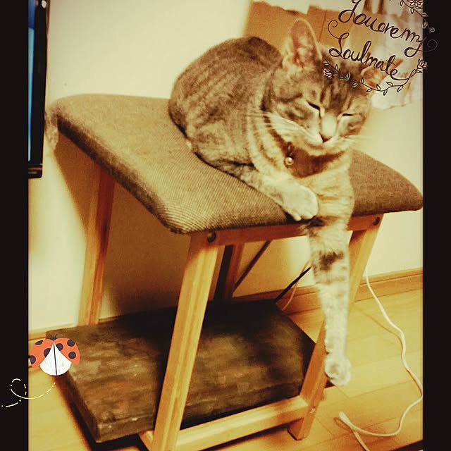 oyumiさんの実例写真