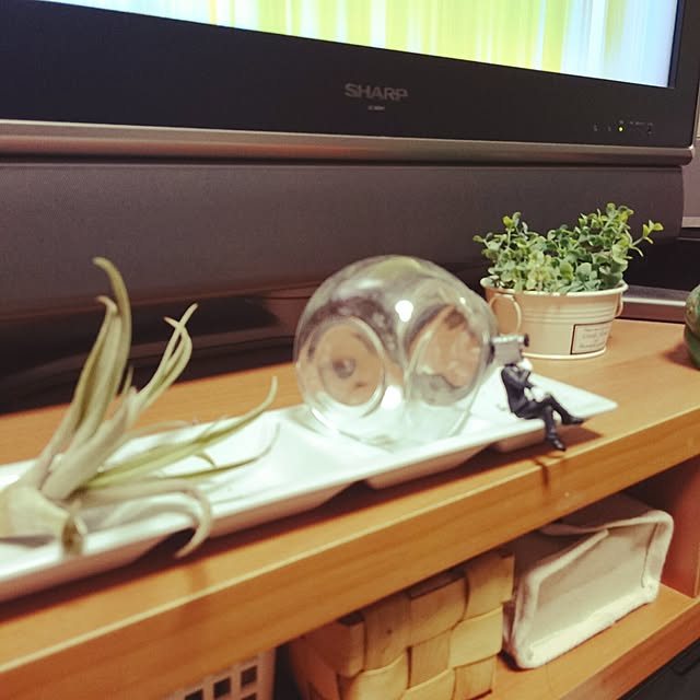 Taekoさんの実例写真