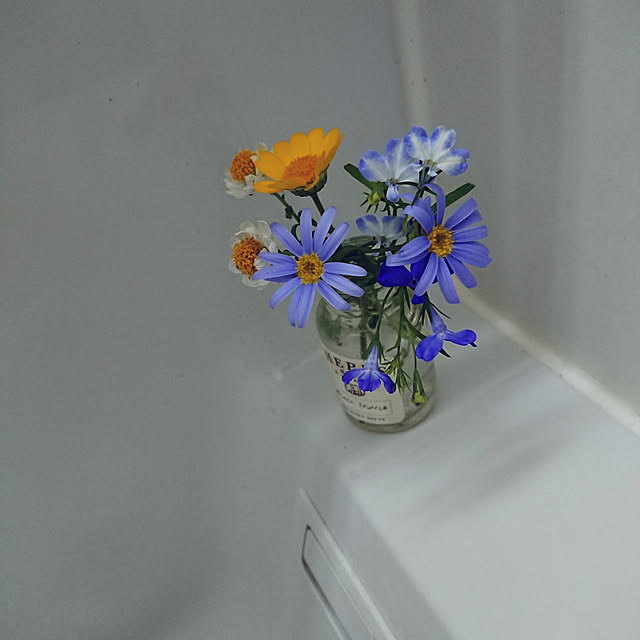 hopkeiさんの実例写真
