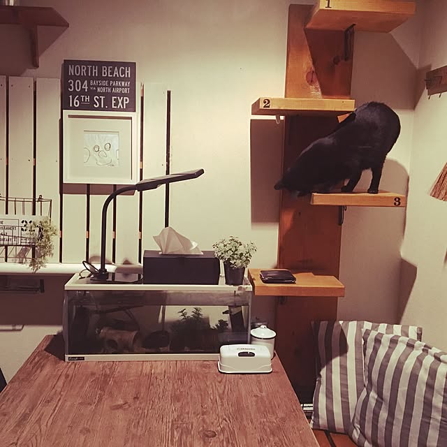 mahi1101さんの実例写真