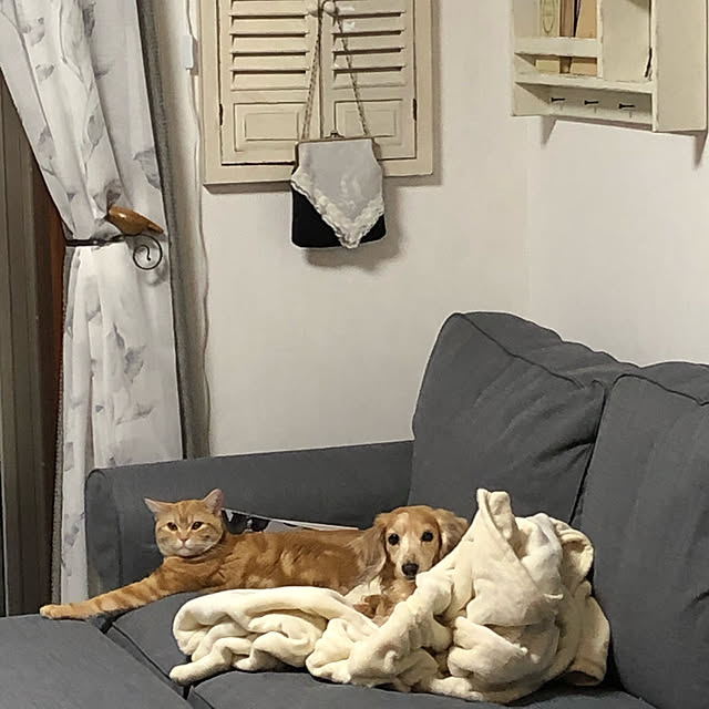 Atelier.mさんの実例写真