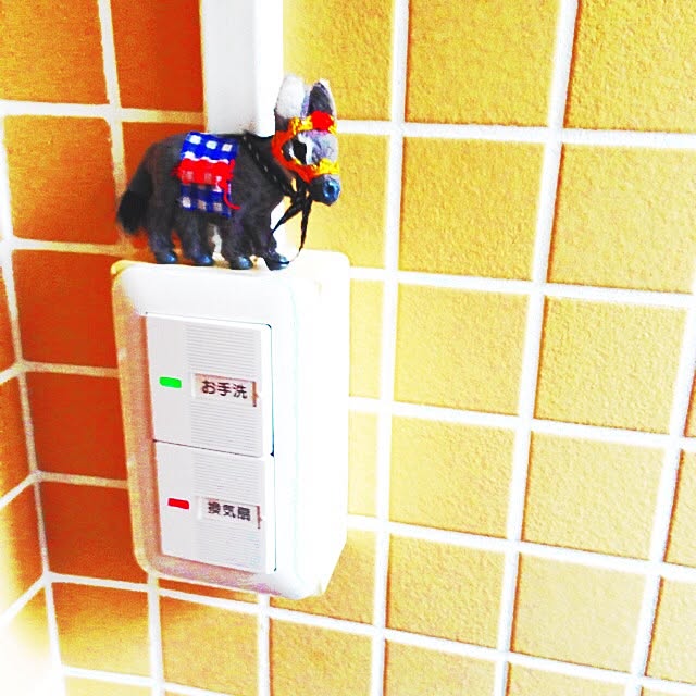 makkiiさんの実例写真