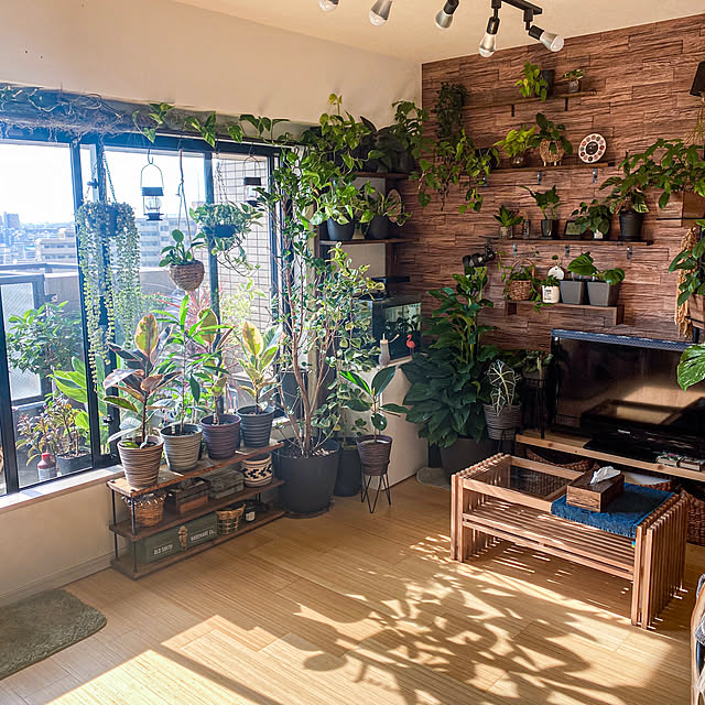 ficusさんの実例写真