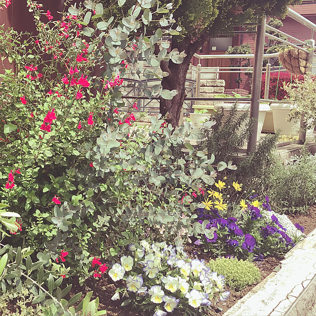yurari.bonnさんの実例写真