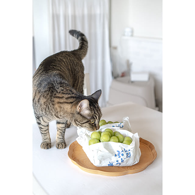 oliveさんの部屋