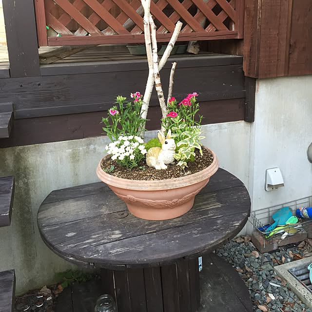 実例写真