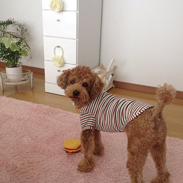 pirorin1147さんの実例写真