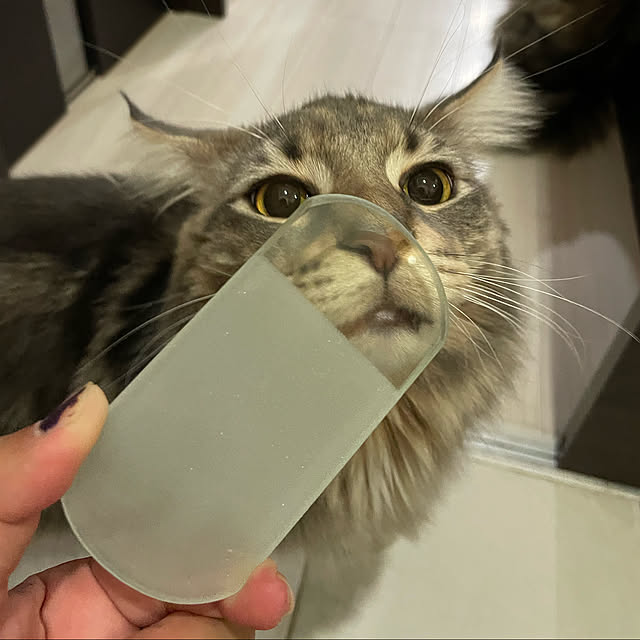 mayumiさんの実例写真