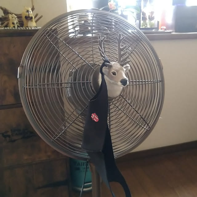 nippopoさんの実例写真