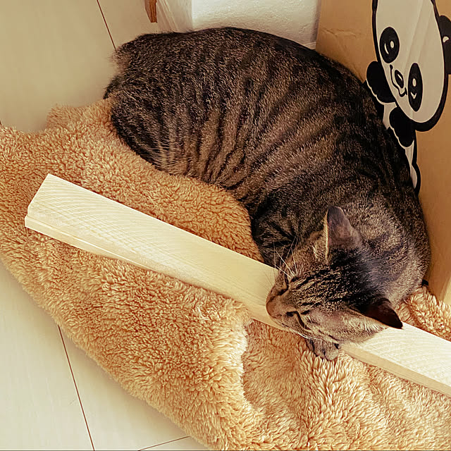 necomuraさんの実例写真