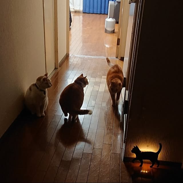 NOAHさんの実例写真