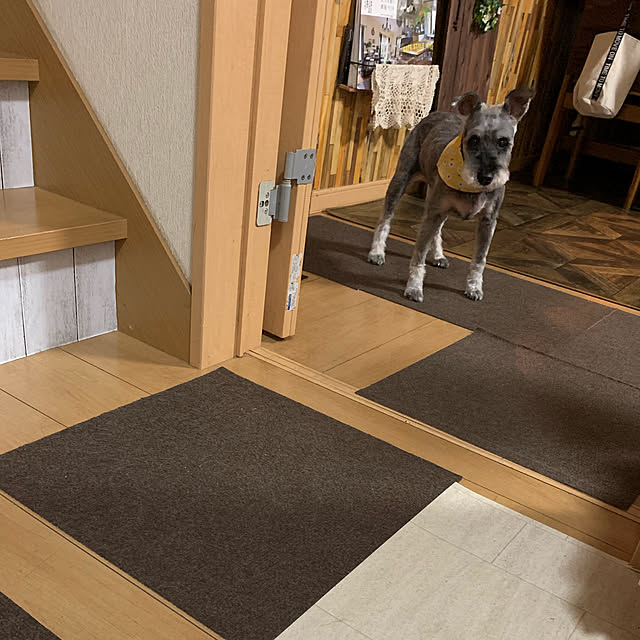 Fumiさんの実例写真