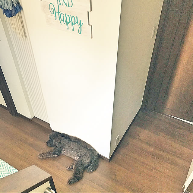 Masakoさんの実例写真