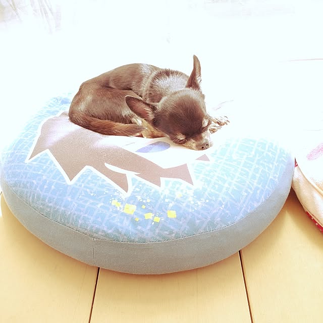Bienvenueさんの部屋