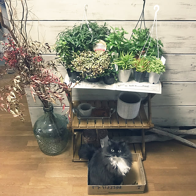 mucc08さんの実例写真
