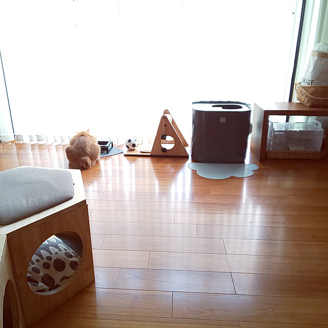 marutujiさんの実例写真