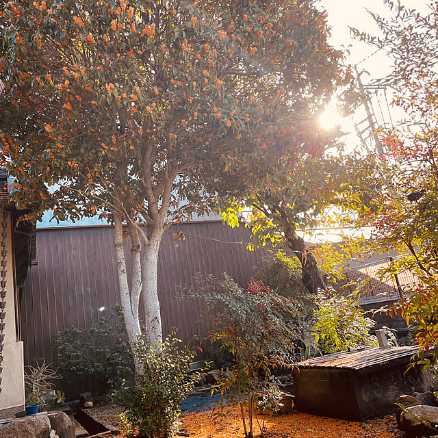 ichigoさんの実例写真