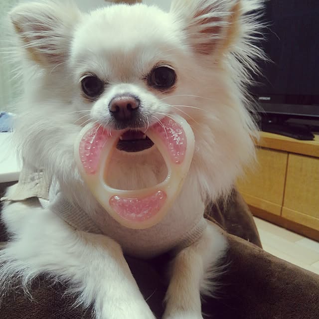 okuriさんの実例写真