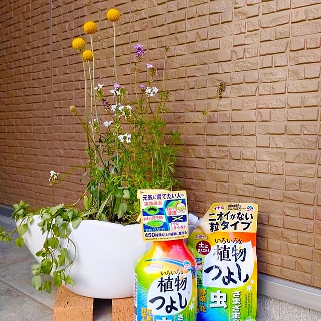 tan5さんの実例写真