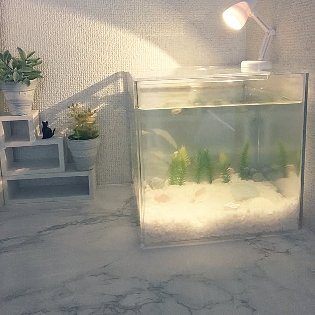 mikaさんの実例写真