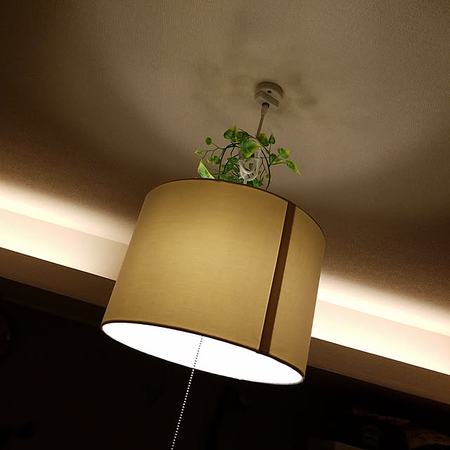 ponさんの実例写真