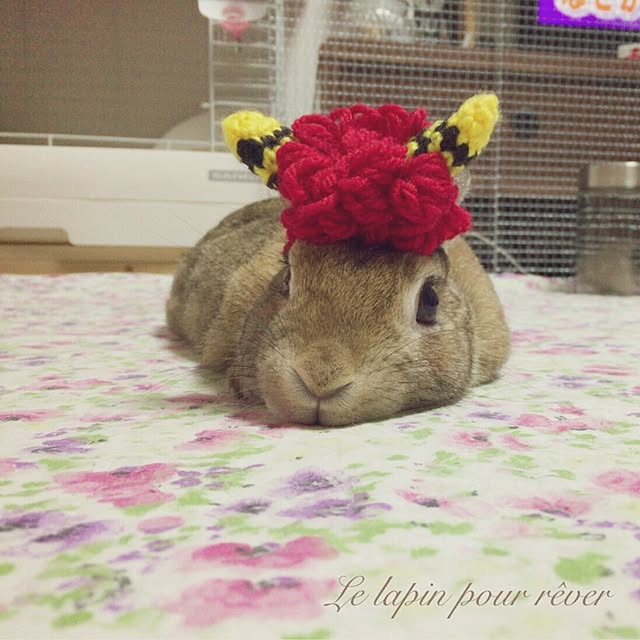 mashiさんの実例写真