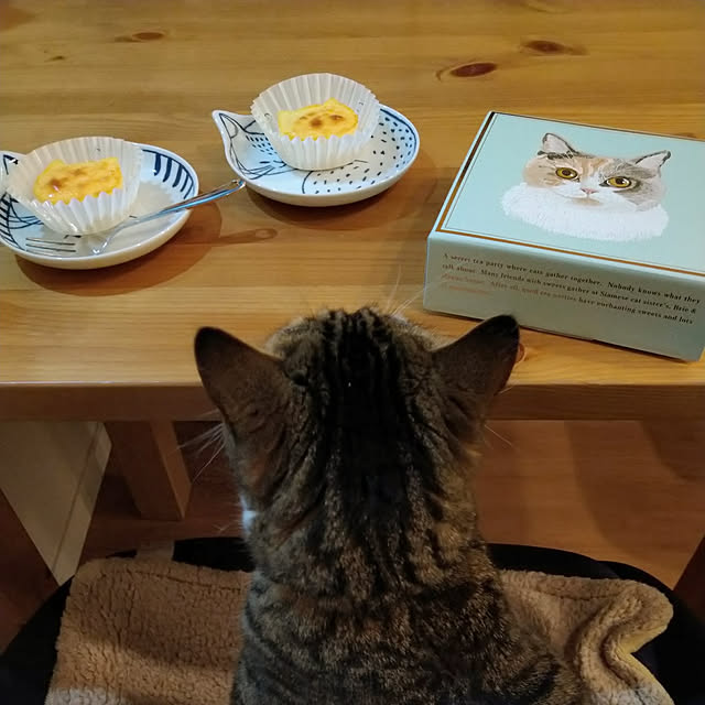 mochicoさんの実例写真