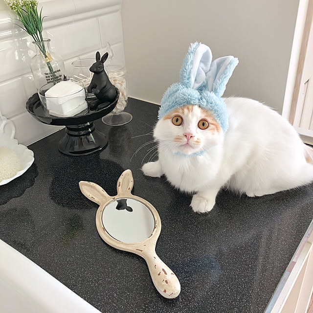 yuchiさんの実例写真