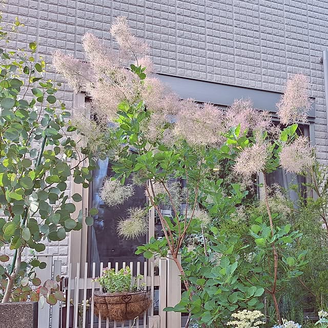souさんの部屋
