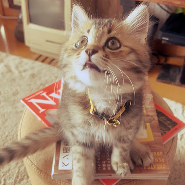 Mさんの実例写真
