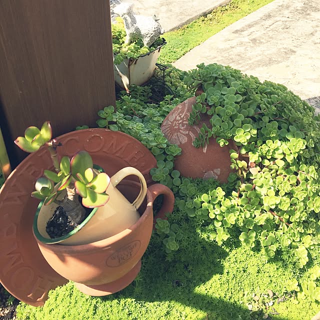 31さんの実例写真