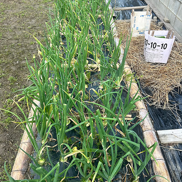 banbinaさんの実例写真